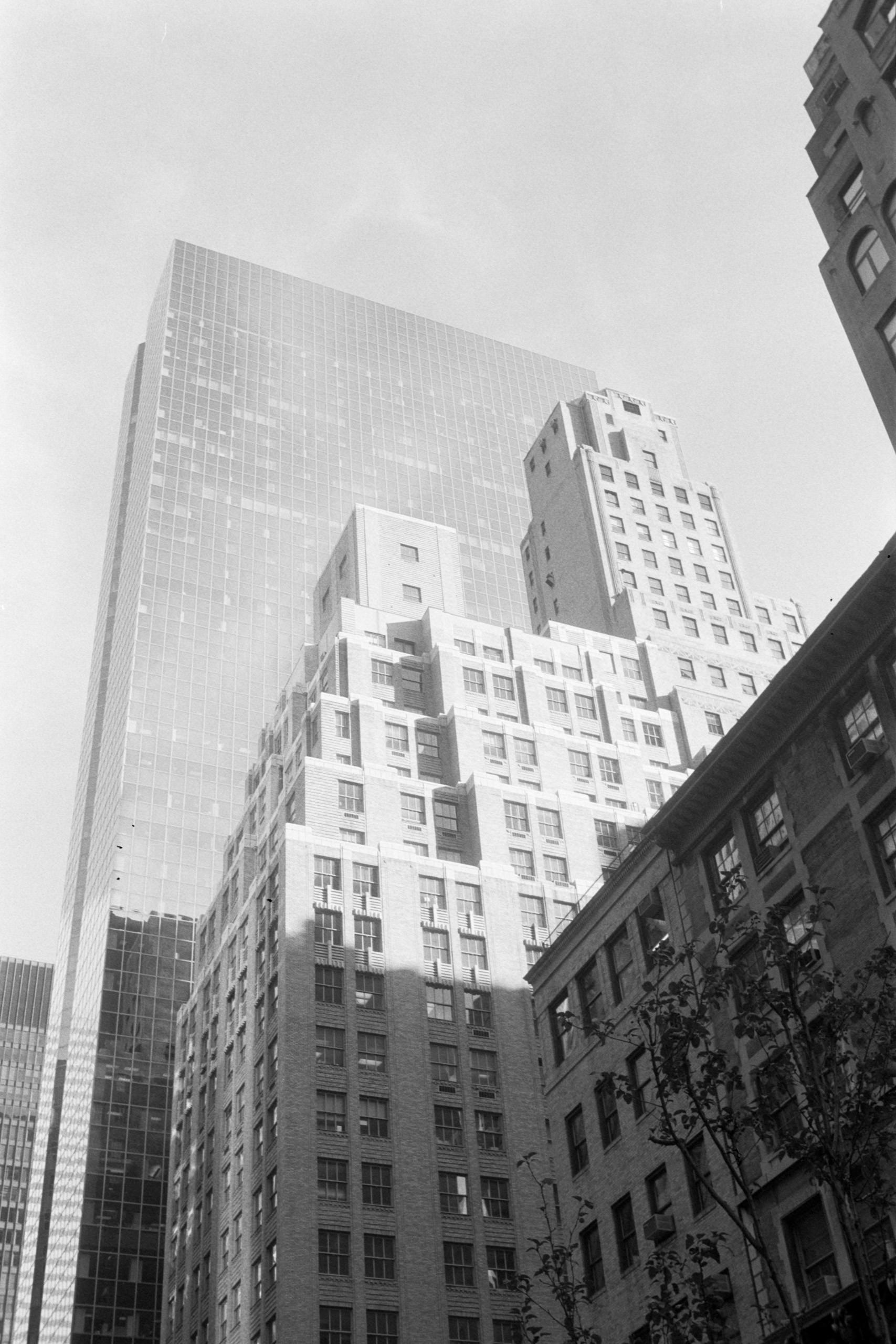 AHP FilmScan 240807 0783